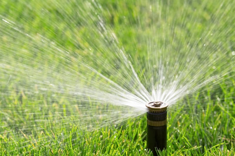 Maximizing Water Efficiency: Smart Irrigation Practices for Milton Homeowners